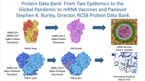 Graphical abstract of Burley protein data bank talk